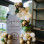 Single Backdrop Balloon Garland