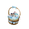 Welcome Baby Boy Woven Basket