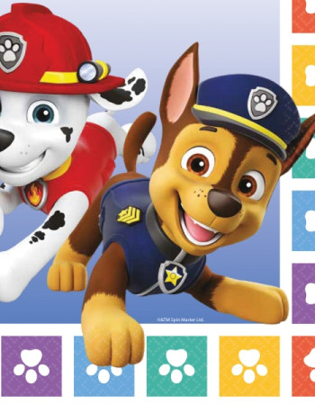 Paw Patrol Party Bundle 