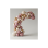 DIY Baby Girl Premium Organic Balloon Arch Kit 2 × 3 metres ( Please Note this excludes the frame)