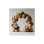 DIY We Can Bearly Wait Neutral Premium Organic Balloon Arch Kit 2 × 3m ( Please Note this excludes the frame)