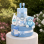 Prince Charming Nappy Cake
